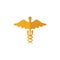 Caduceus Glyph flat icon. Colored simple element from medicine collection for infographics, web design and more