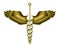 Caduceus. The Hermetic golden staff. The symbol of deep mysticism in a white background.