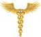 Caduceus Medical Symbol - Gold