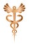 Caduceus, staff of Hermes icon isolated on white background. Symbol of commerce and negotiation