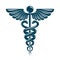 Caduceus symbol made using bird wings and poisonous snakes.