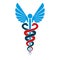 Caduceus symbol made using bird wings and poisonous snakes, heal