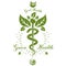 Caduceus vector conceptual emblem created with mortar and pestle. Wellness and harmony metaphor. Alternative medicine concept,