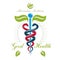 Caduceus vector conceptual emblem created with snakes and green leaves. Wellness and harmony metaphor. Alternative medicine