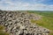 Caer Drewyn Iron Age Hillfort Corwen Wales