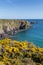 Caerfai Bay Pembrokeshire West Wales UK