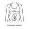 Caesarean section views icon line in vector, illustration of a pregnant woman.
