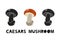 Caesars mushroom, silhouette icons set with lettering. Imitation of stamp, print with scuffs. Simple black shape and color vector