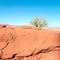 Cafayate, Salta, Argentina