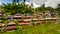 Cafe and gift shops on the Tegalalang Rice Terrace.