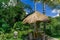 Cafe in the jungle. Table under a thatched canopy in the rainforest. Wooden gazebo in a thicket of bamboo under palm trees. Buddha