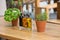 Cafe table with herbs and condiments