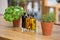 Cafe table with herbs and condiments