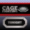 Cage Fighting. MMA Poster. Banner