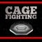 Cage Fighting. Poster. Vector