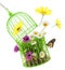 Cage with grass,flowers and insects
