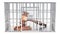 Cage, prison cell with wooden gavel, 3D rendering