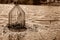 Caged pond overflow spillway cover with buildup