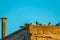 Cagliari city, satellite dish with birds