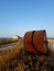 Cagliari, Sardinia, Italy, Molentargius Saline Regional Park