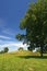 Cahokia mound