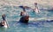 Caifornia Sea Lion swimming with three Pelicans near Cabo San Lucas Baja MEX