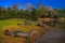 Caiman, Yacare Caiman, crocodiles in the river surface, evening with blue sky, animals in the nature habitat. Pantanal, Brazil