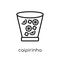 caipirinha icon. Trendy modern flat linear vector caipirinha icon on white background from thin line Drinks collection, outline v