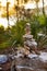 Cairn as a prominent signpost for orientation during relaxed hiking