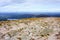 Cairn Gorm Mountain summit in the Cairngorm National Park