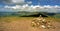 Cairn on Great Dodd