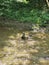 Cairn (man-made pile of stones) in small river with glistening water on hot sunny summer day