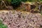 Cairn sculptures in Paimpont Forest - Brittany