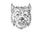 Cairn Terrier Dog Breed Cartoon Retro Drawing