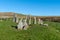 Cairnholy Holy Cairns, Dumfries, Scotland