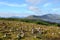 Cairns at Loch Loyne, Scotland