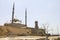 Cairo Citadel behind a wall and an old dead tree