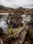 Cajas National Park in the city of Cuenca in Ecuador