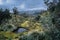 Cajas National Park in the city of Cuenca in Ecuador