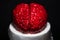 Cake art concept image, brain from sugar paste. Sugar art. Close up of Human brain Anatomical Model.