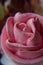 Cake Basket Rose. Food Photography, Dessert, Macro Photography. From above closeup of freshly baked cupcakes