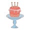 Cake with candles on a plate. Birthday, celebration, holiday, party concept.