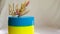 Cake in the form of Ukrainian flag spikelets of wheat delicious filling fruit dessert turn cake on plate cut piece