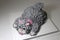 Cake made in the shape of a grey cat with a pink collar. It is doing a crouching pose