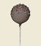 Cake Pop