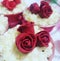 Cake rose