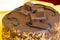 Cake with tefillin