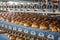 Cakes on automated round conveyor machine in bakery food factory, production line