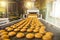 Cakes on automatic conveyor belt or line, process of baking in confectionery culinary factory or plant. Food industry