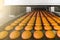 Cakes on automatic conveyor belt or line, process of baking in confectionery culinary factory or plant. Food industry